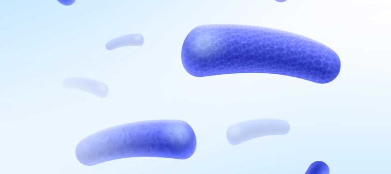 3 beneficios de los probioticos