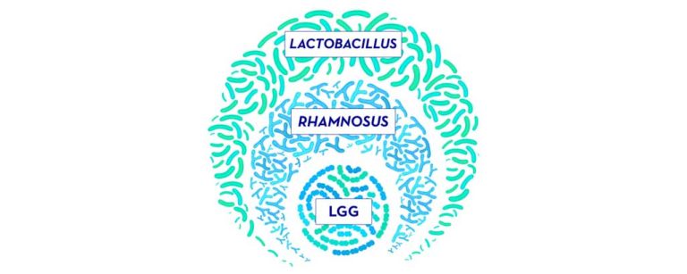 Probióticos en los alimentos consumirlos o no