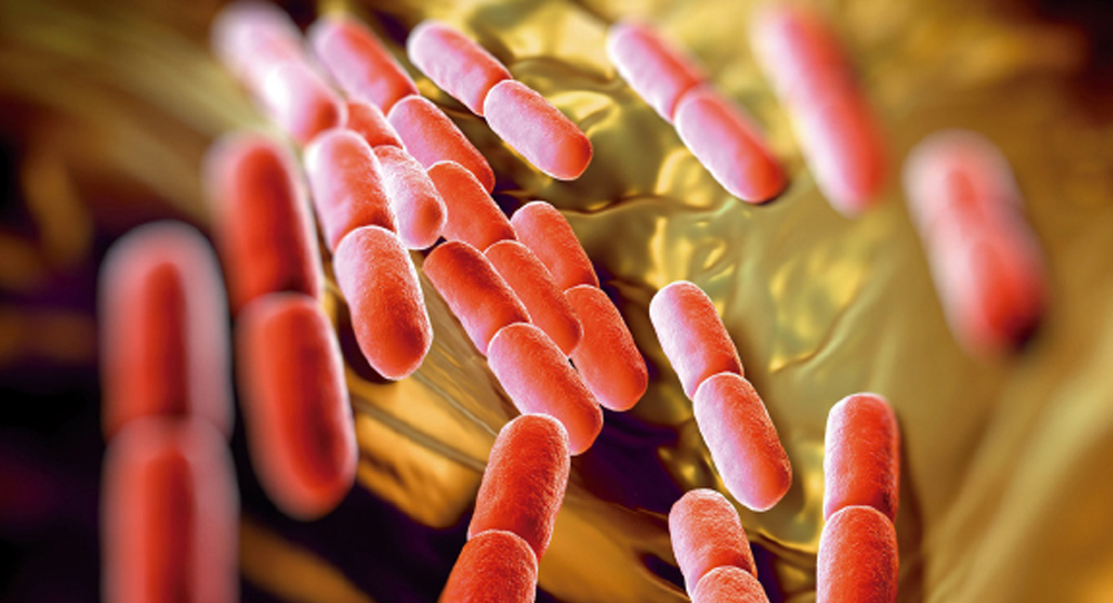 Probióticos en el manejo de diarrea asociada al uso de antibióticos