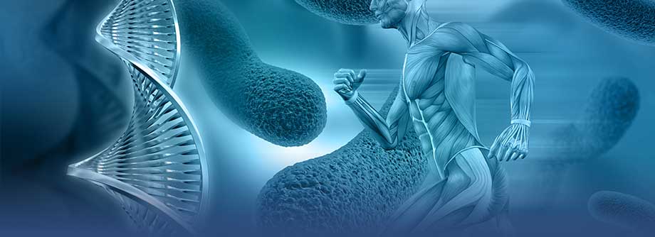 Beneficios en la salud general gracias a la microbiota