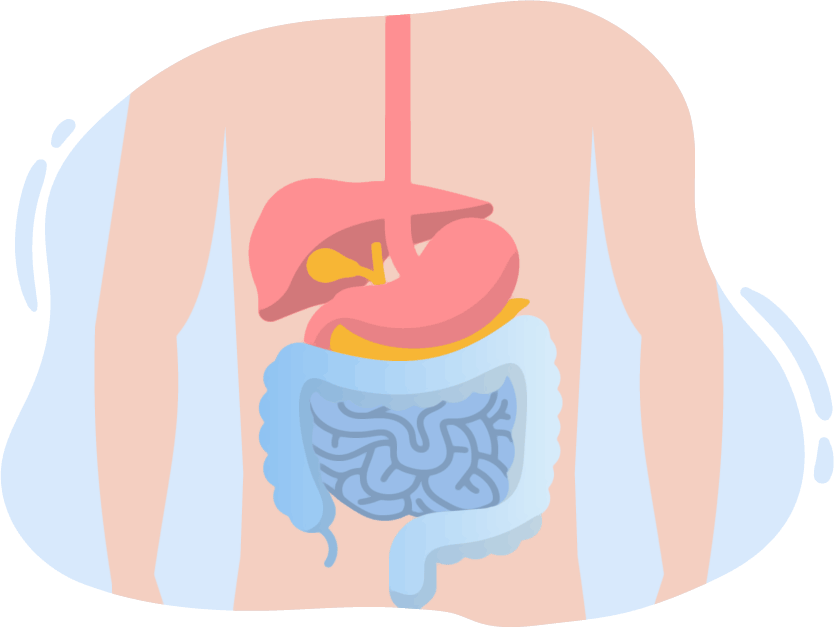 probiótico bifidobacterium lactis bpl1