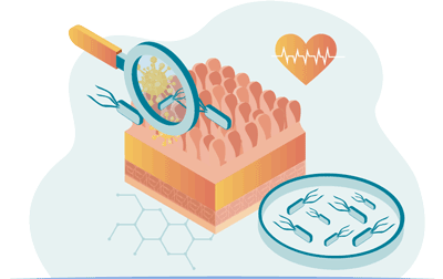 probióticos l casei 431 para que sirve